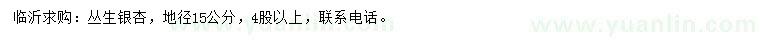 求購地徑15公分叢生銀杏