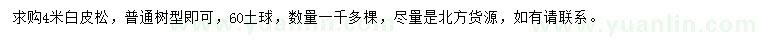求購(gòu)4米白皮松