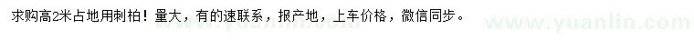 求購高2米刺柏