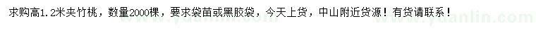 求購高1.2米夾竹桃