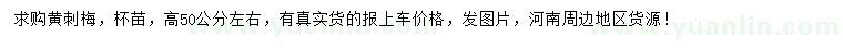 求購高50公分左右黃刺梅