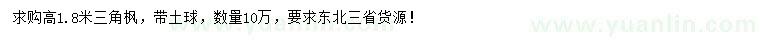 求購(gòu)高1.8米三角楓