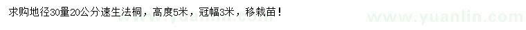 求購地徑30量20公分速生法桐 