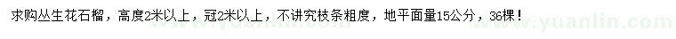 求購高2米以上叢生花石榴