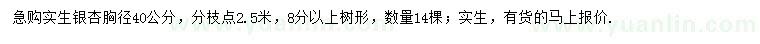 求購(gòu)胸徑40公分實(shí)生銀杏