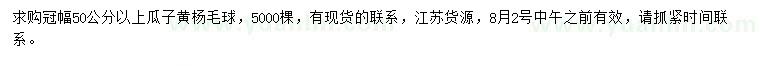 求購冠幅50公分以上瓜子黃楊
