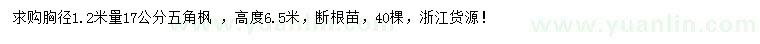 求購胸徑1.2米量17公分五角楓 