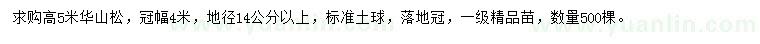求購(gòu)高5米華山松