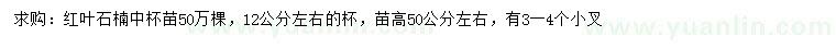 求購(gòu)12公分紅葉石楠