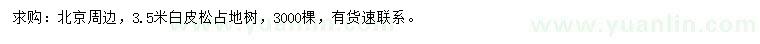 求購3.5米白皮松