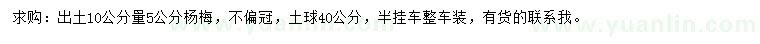 求購出土10公分量5公分楊梅