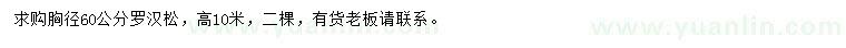 求購胸徑60公分羅漢松