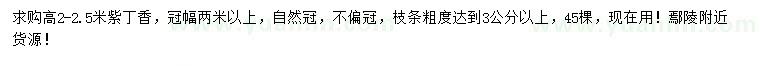 求購高2-2.5米紫丁香