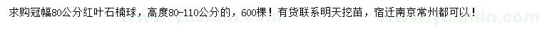 求購冠幅80公分紅葉石楠球