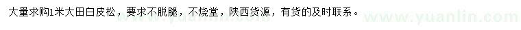 求購(gòu)1米白皮松