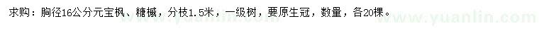 求購胸徑16公分元寶楓、糖槭