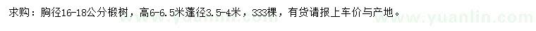 求購胸徑16-18公分椴樹