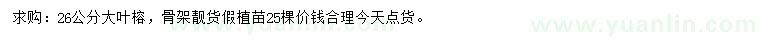求購26公分大葉榕