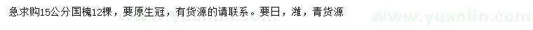 求購15公分國槐