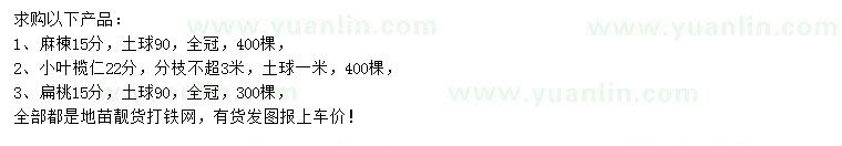 求購(gòu)麻楝、小葉欖仁、扁桃