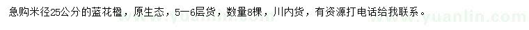求購(gòu)米徑25公分藍(lán)花楹