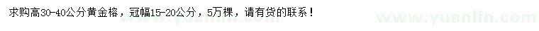 求購高30-40公分黃金榕