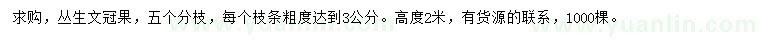求購高2米叢生文冠果