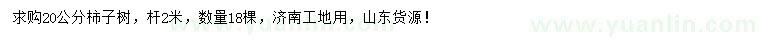 求購(gòu)20公分柿子樹
