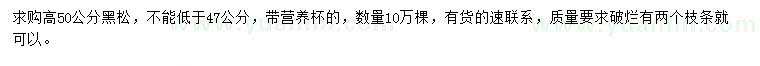 求購高50公分黑松
