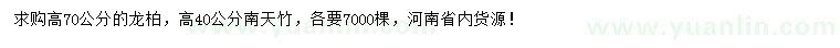 求購高70公分龍柏、高40公分南天竹