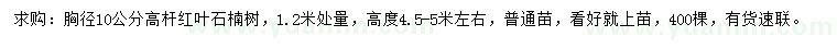 求購胸徑10公分紅葉石楠