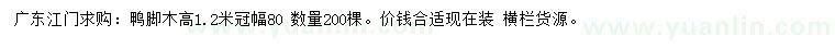 求購(gòu)高1.2米鴨腳木