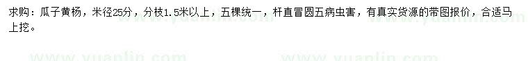 求購米徑25公分瓜子黃楊