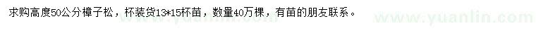 求購高50公分樟子松