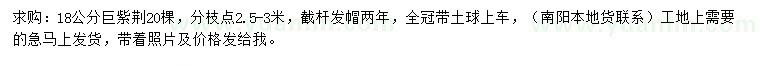 求購18公分巨紫荊