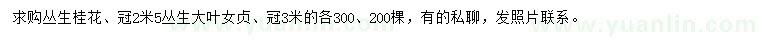 求購(gòu)冠2.5米叢生大葉女貞、叢生桂花