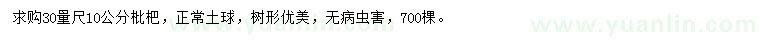 求購30量10公分枇杷