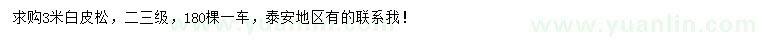 求購(gòu)3米白皮松