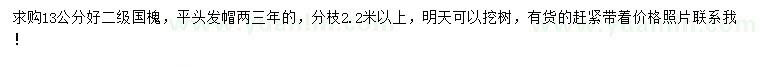 求購13公分國槐