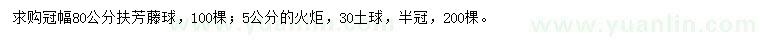 求購冠幅80公分扶芳藤球、5公分火炬