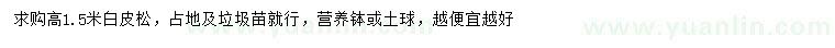 求購(gòu)高1.5米白皮松