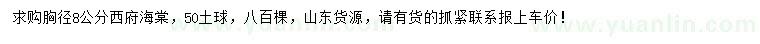 求購(gòu)胸徑8公分西府海棠