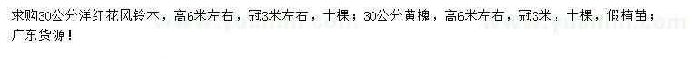 求購30公分洋紅花風(fēng)鈴木、黃槐