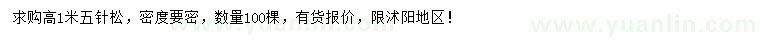 求購高1米五針松