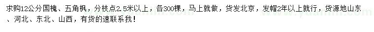 求購(gòu)12公分國(guó)槐、五角楓