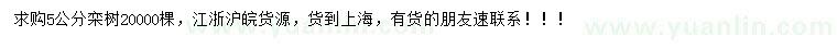 求購5公分欒樹