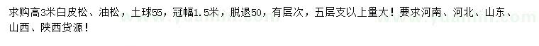 求購高3米白皮松、油松