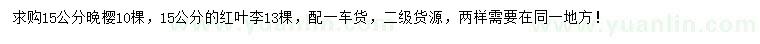 求購15公分晚櫻、紅葉李