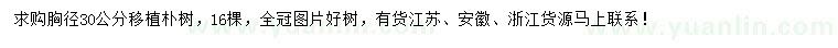 求購胸徑30公分樸樹