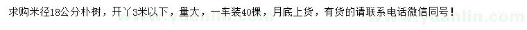 求購米徑18公分樸樹
